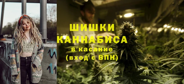 прущие грибы Надым
