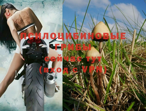 амфетамин Нея
